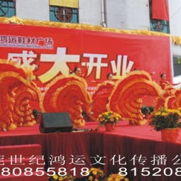 东莞礼仪庆典演出策划公司 一站式专业活动承办与礼仪服务