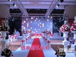 专业婚庆服务 泗水婚礼策划全解析